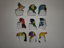 Série complète fèves