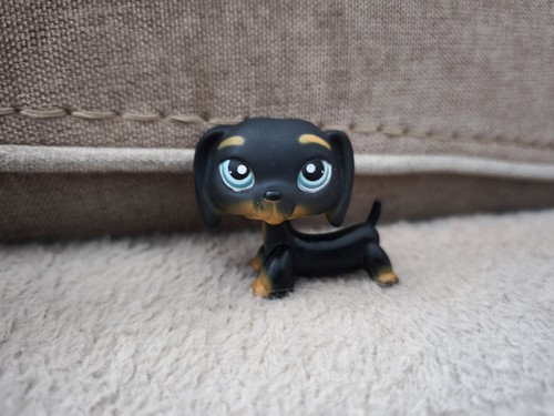 Lps littlest petshop hasbro - petshop,