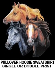 PALOMINO THOROUGHBRED