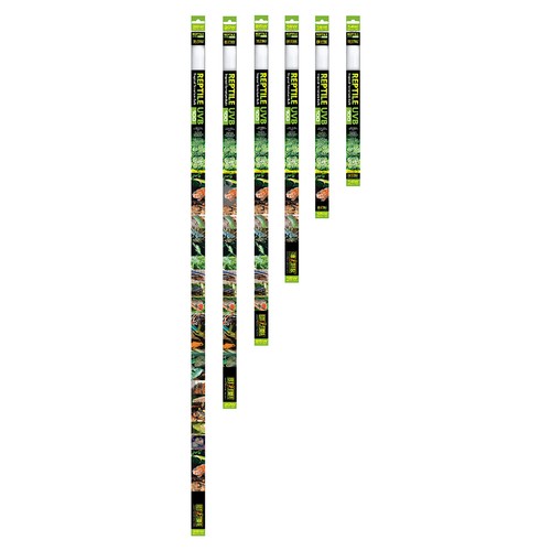 Exo terra lampe - exo, reptile