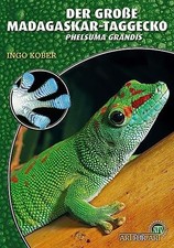 Ingo Kober Der Große