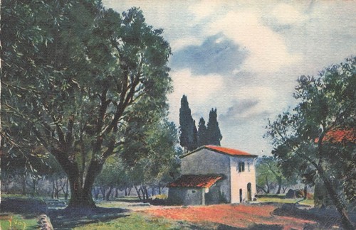 Grasse oliviers cypres - 06,