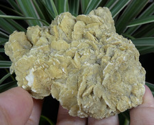 Rose des Sables Gypse Gargas 8.5x7cm France mineral collection ancienne pierre