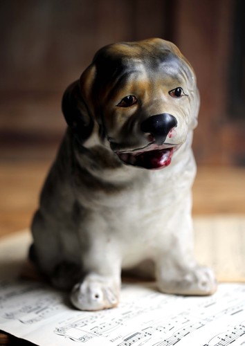 Saint bernard puppy - bernard, dog