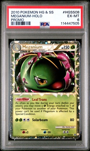 Pokemon heartgold soulsilver - pokemon,