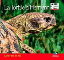 La Tortue d'Hermann, Sandrine