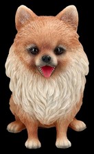 Chien Figurine - Spitz Nain