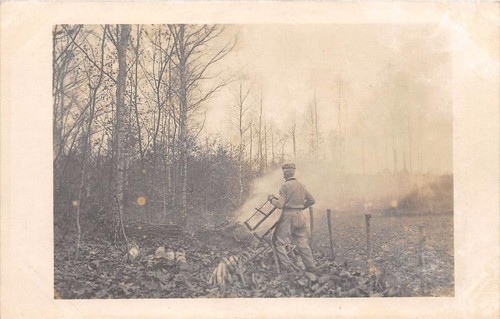 Cpa carte photo bois - cpa,
