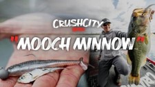 Rapala Crush City Mooch Minnow
