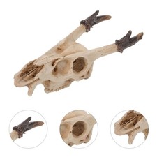  Cache Pour Tortue Terrestre