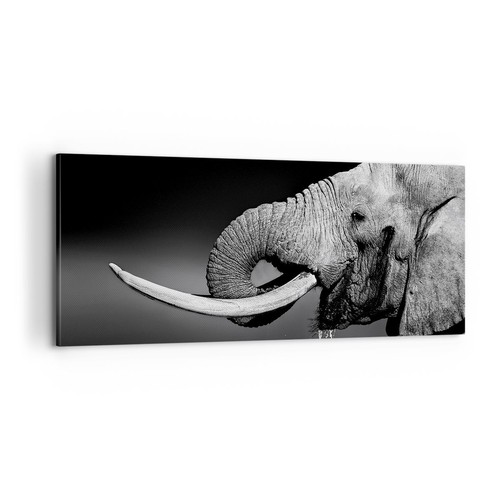 Impression sur toile - sur, 100x40cm