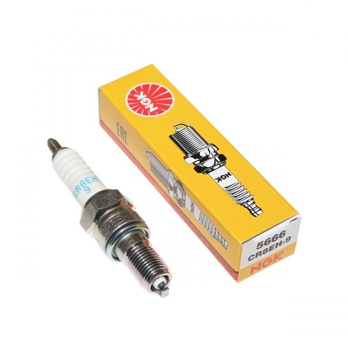 Bougie allumage ngk pour - bougie,