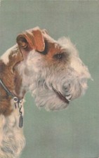 CP PROFILE FOX TERRIER DOG - 56573