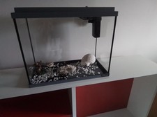aquarium 15 litres, L 34,5 ×
