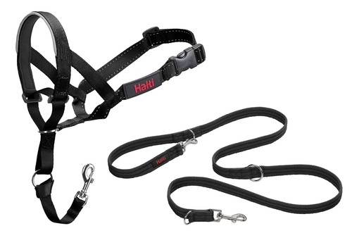 Licol laisse dressage - licol, de