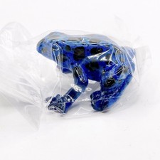 Dendrobates Azureus Poison