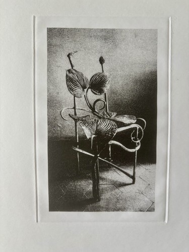 Claude lalanne chaise hosta - claude,