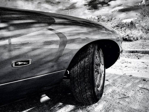 Photo jaguar type 15x20 - photo, e