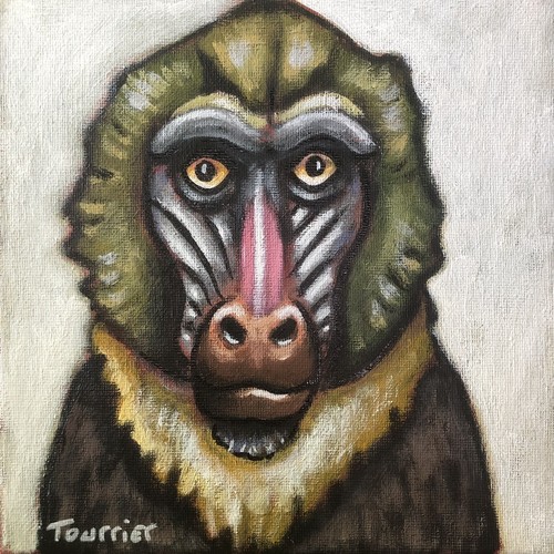 Tableau portrait singe - tableau,