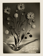 Pierre Jahan, carte de voeux  Tirage argentique  24,5x19,5  Circa 1958  