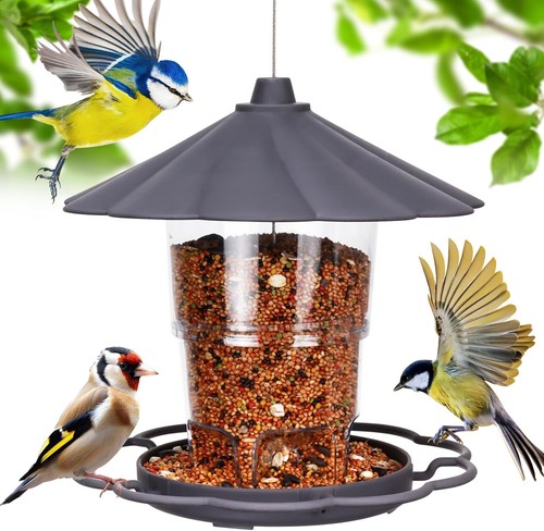 Mangeoire oiseaux à - oiseaux,