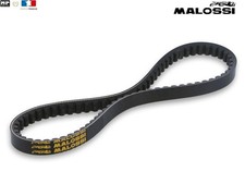 Courroie Malossi Xbelt