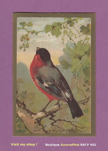 Chromo animaux le bouvreuil - le,