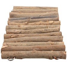  Ornement De Terrarium