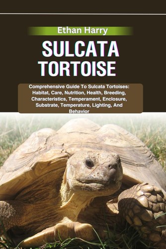 Ethan harry sulcata - ethan, tortoise