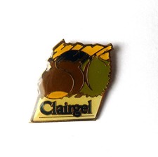 Pin's Clairgel chataignes