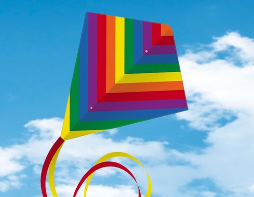 Cerf volant spectro 80x65cm - cerf-volant,