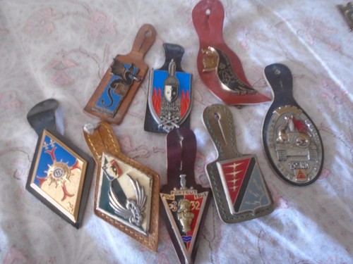 Lot insignes militaire divers - insignes,