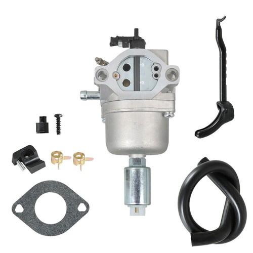 Carburateur pour briggs - briggs, &