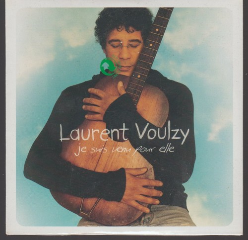 Laurent voulzy suis - voulzy,