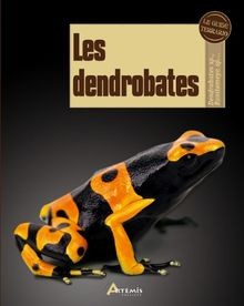 Les dendrobates sihler - de,