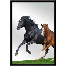 Miroir suspendre cheval - miroir, à
