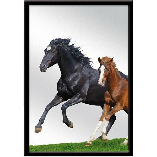 Miroir suspendre cheval - suspendre,