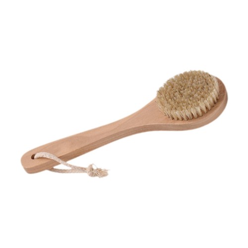 Brosse sèche pour - , dos