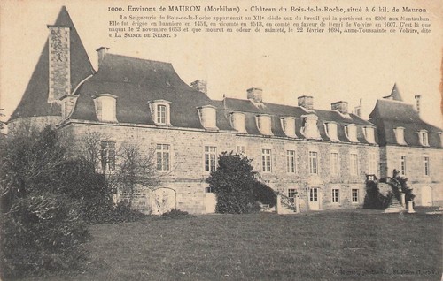 Mauron chateau bois de - chateau,