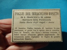 PLI RELIQUE feuiilles  ROSIER