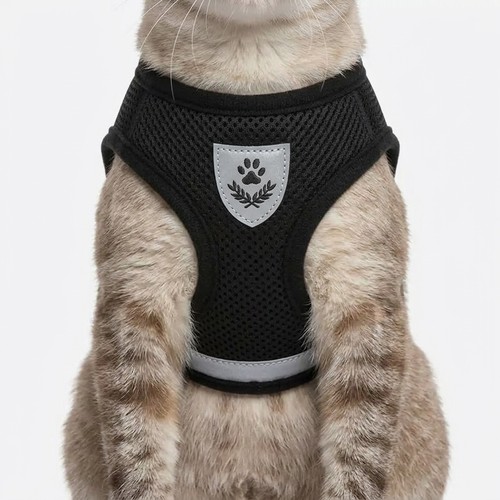 Harnais chat chiot - harnais,