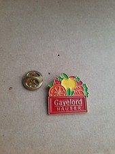 Pin's Gayelord Hauser - Pins Badge Pin L34