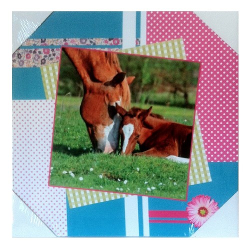 Cadre toile cheval - cadre,