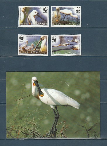 Wwf roumanie nature faune - wwf,