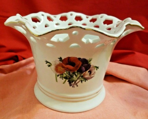 Formalities anemone collection - anemone,