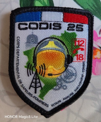 Ecusson sapeurs pompiers - sapeurs,