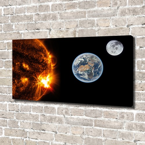 Tulup image sur - toile, tableau