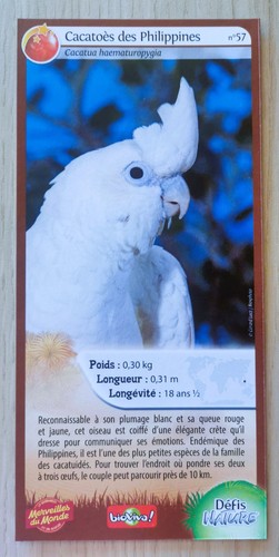 Carte merveilles monde - carte,