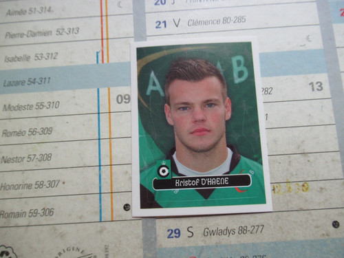Vignette panini foot - vignette, 2013