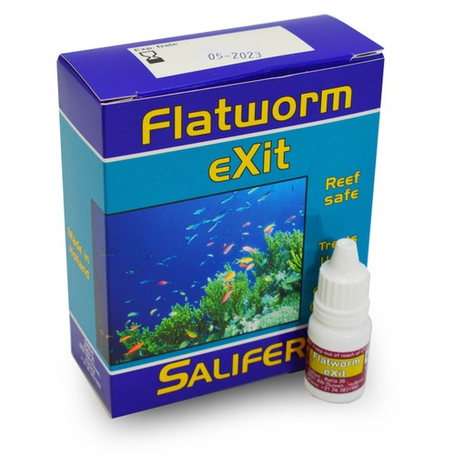 Flatworm exit aquarium - flatworm,